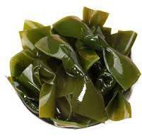 Seaweed Knot